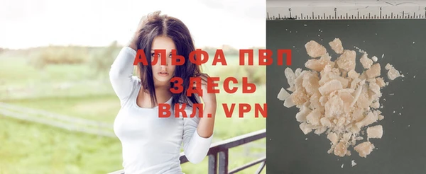 прущие крисы Медвежьегорск