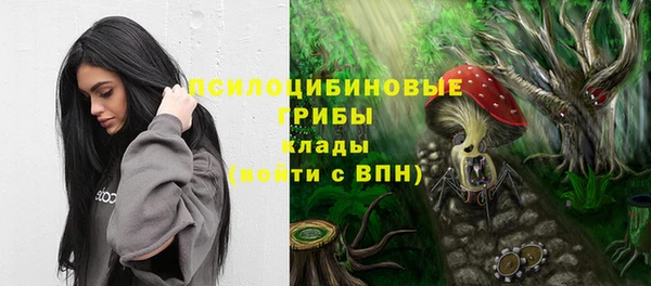 герыч Мегион